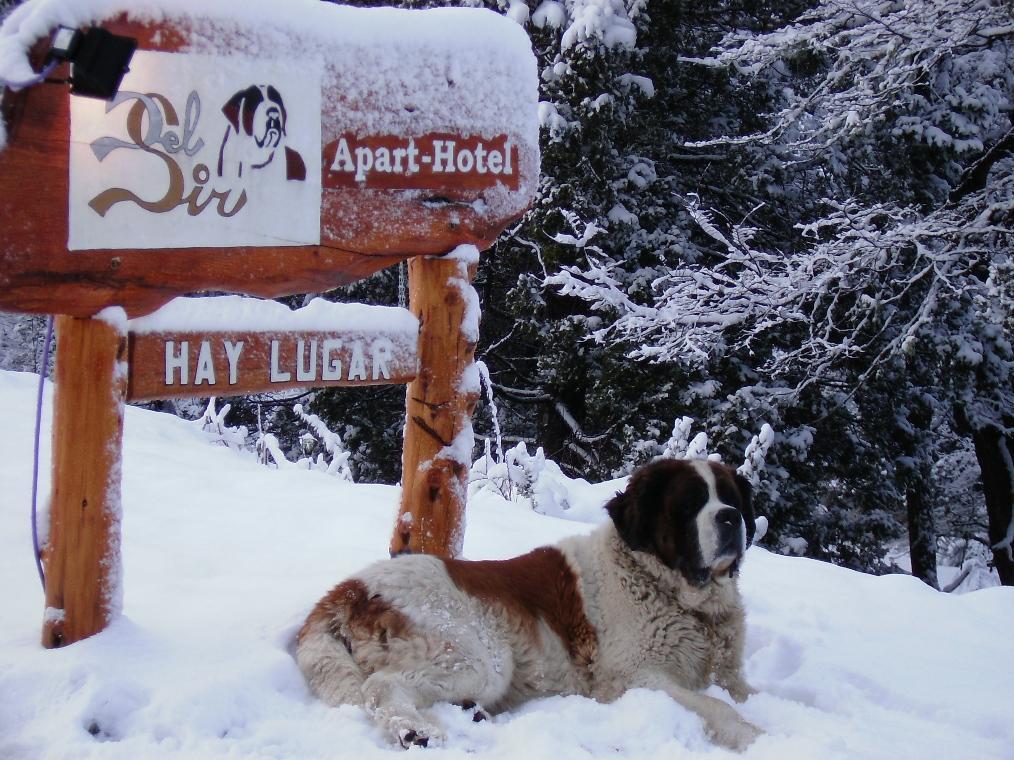 Apart Hotel Y Hosteria Del Sir Villa La Angostura Bagian luar foto